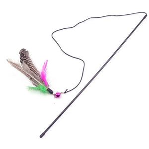 Everyday.Discount buy cat teaser feather diy playing pinterest cat dogs ball feather mice  stimulating toys tiktok youtube videos kittens puppies interactive toys goldfish instagram influencer manufacturer cat teasers moving stuffed dolls mice fish plush catnip carp fish simulation animal interactive crinkle supplies petshop shoponline everyday free.shipping 