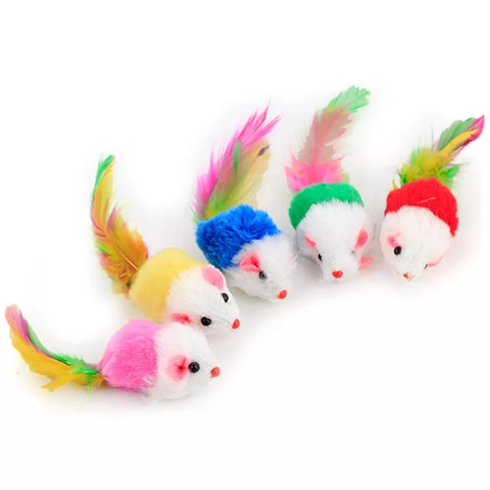 Everyday.Discount buy cat teaser feather diy playing pinterest cat dogs ball feather mice  stimulating toys tiktok youtube videos kittens puppies interactive toys goldfish instagram influencer manufacturer cat teasers moving stuffed dolls mice fish plush catnip carp fish simulation animal interactive crinkle supplies petshop shoponline everyday free.shipping 