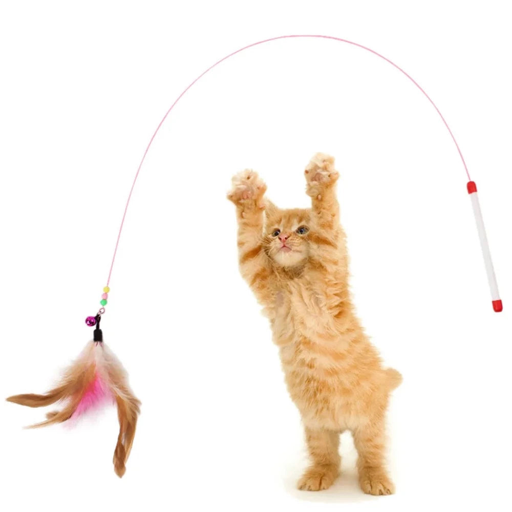 Everyday.Discount buy cat teaser feather diy playing pinterest cat dogs ball feather mice  stimulating toys tiktok youtube videos kittens puppies interactive toys goldfish instagram influencer manufacturer cat teasers moving stuffed dolls mice fish plush catnip carp fish simulation animal interactive crinkle supplies petshop shoponline everyday free.shipping 