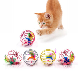 Everyday.Discount buy cat teaser feather diy playing pinterest cat dogs ball feather mice  stimulating toys tiktok youtube videos kittens puppies interactive toys goldfish instagram influencer manufacturer cat teasers moving stuffed dolls mice fish plush catnip carp fish simulation animal interactive crinkle supplies petshop shoponline everyday free.shipping 