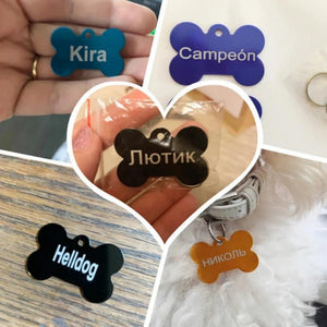 Everyday.Discount buy cats dogs custom i.d.tag personalised engraved nameplate tiktok youtube videos fish bone shaped i.d.tag keychain stainless pendants custom pet's collar decoration i.d. engraved nametag instagram influencer keyring sos verification pendants personalized petshop everyday.discount free.shipping petmart dogs cats gravierte bone