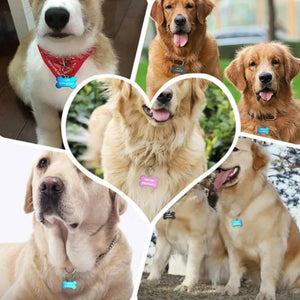 Everyday.Discount buy cats dogs custom i.d.tag personalised engraved nameplate tiktok youtube videos fish bone shaped i.d.tag keychain stainless pendants custom pet's collar decoration i.d. engraved nametag instagram influencer keyring sos verification pendants personalized petshop everyday.discount free.shipping petmart dogs cats gravierte bone
