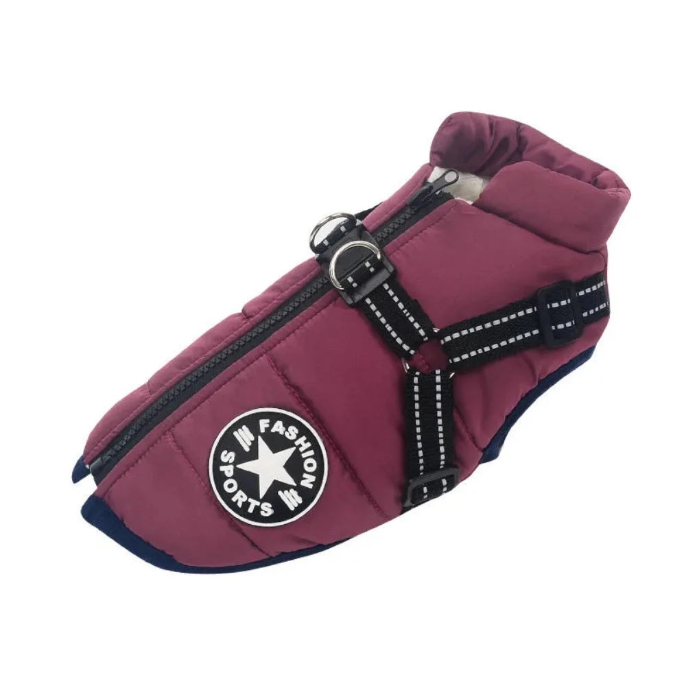 Everyday.Discount buy dogs custom glow harness viral onlineshopping durable walking essential reflective innovative julius cute mesh yorkie cloth custom padded around waist glowing under belly applicable harnesses petsafe instagram walking harness tiktok dogs youtube videos breathable collar adjustable size walking dogs fluorecent safety harness