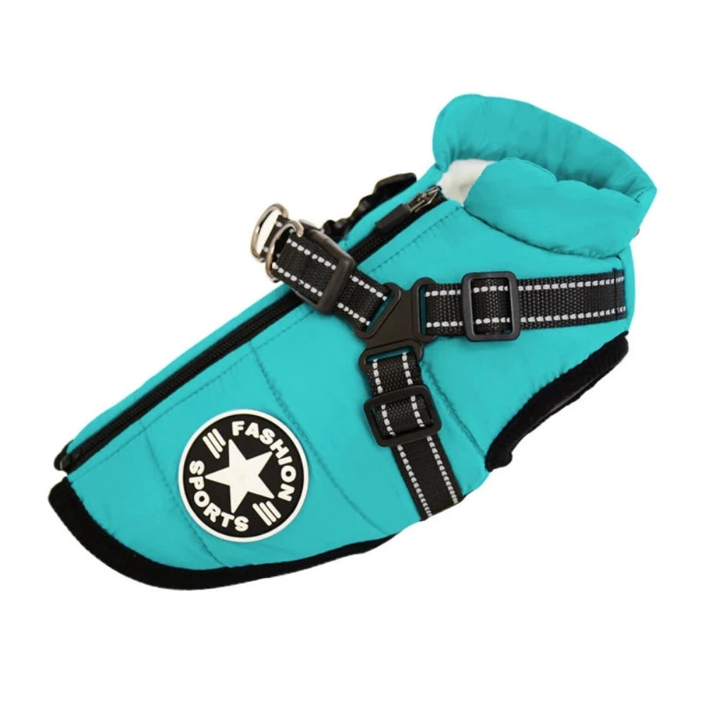 Everyday.Discount buy dogs custom glow harness viral onlineshopping durable walking essential reflective innovative julius cute mesh yorkie cloth custom padded around waist glowing under belly applicable harnesses petsafe instagram walking harness tiktok dogs youtube videos breathable collar adjustable size walking dogs fluorecent safety harness