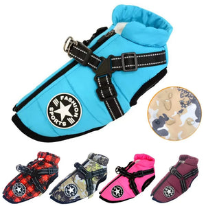 Everyday.Discount buy dogs custom glow harness viral onlineshopping durable walking essential reflective innovative julius cute mesh yorkie cloth custom padded around waist glowing under belly applicable harnesses petsafe instagram walking harness tiktok dogs youtube videos breathable collar adjustable size walking dogs fluorecent safety harness