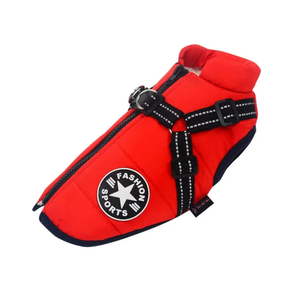 Everyday.Discount buy dogs custom glow harness viral onlineshopping durable walking essential reflective innovative julius cute mesh yorkie cloth custom padded around waist glowing under belly applicable harnesses petsafe instagram walking harness tiktok dogs youtube videos breathable collar adjustable size walking dogs fluorecent safety harness