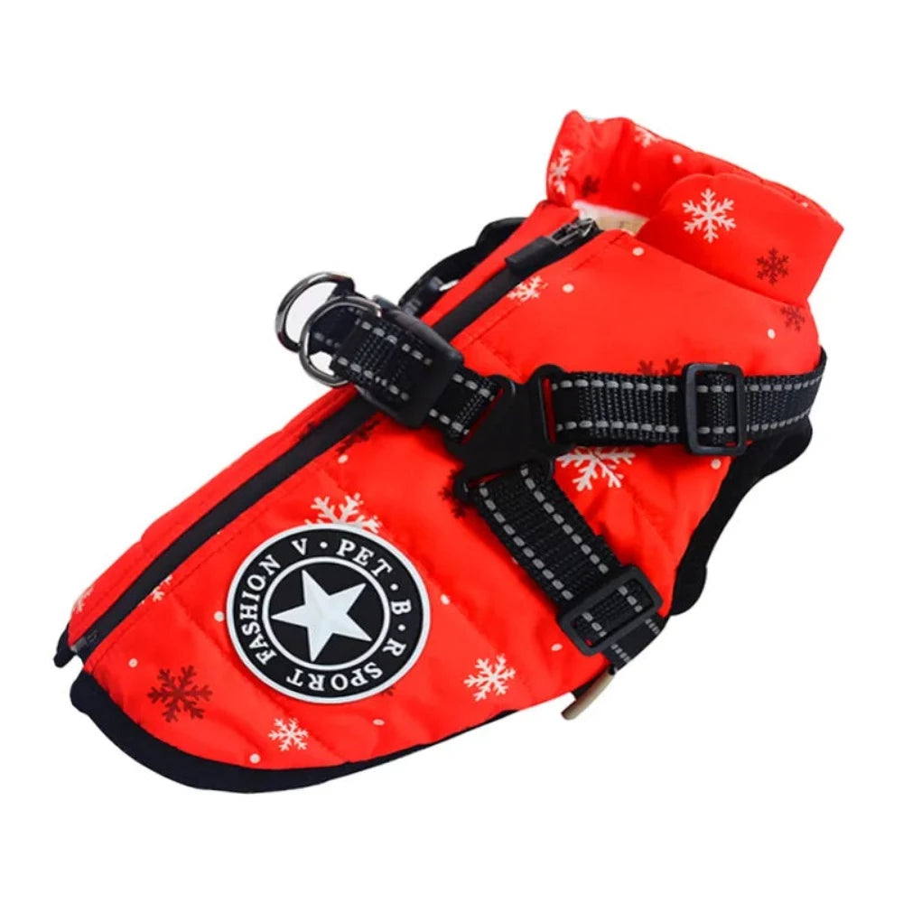 Everyday.Discount buy dogs custom glow harness viral onlineshopping durable walking essential reflective innovative julius cute mesh yorkie cloth custom padded around waist glowing under belly applicable harnesses petsafe instagram walking harness tiktok dogs youtube videos breathable collar adjustable size walking dogs fluorecent safety harness