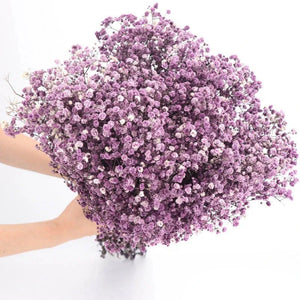 Everyday.Discount buy gypsophila artificial flower décor inspiration autumn viral interior decorations plum pinterest gypsophila blossom onlineshopping tiktok instagram youtube videos wreath realistic interior bunch vase gypsophila explore bridal photoshoot accents blossoms everyday fast free.shipping silk xmas symbolism garland flowers indoors areas  