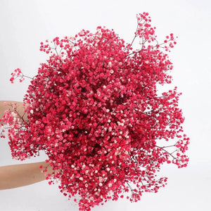 Everyday.Discount buy gypsophila artificial flower décor inspiration autumn viral interior decorations plum pinterest gypsophila blossom onlineshopping tiktok instagram youtube videos wreath realistic interior bunch vase gypsophila explore bridal photoshoot accents blossoms everyday fast free.shipping silk xmas symbolism garland flowers indoors areas  