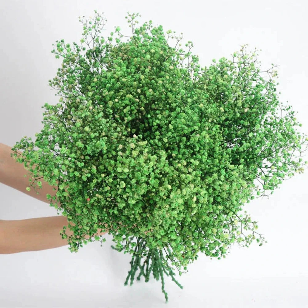 Everyday.Discount buy gypsophila artificial flower décor inspiration autumn viral interior decorations plum pinterest gypsophila blossom onlineshopping tiktok instagram youtube videos wreath realistic interior bunch vase gypsophila explore bridal photoshoot accents blossoms everyday fast free.shipping silk xmas symbolism garland flowers indoors areas  