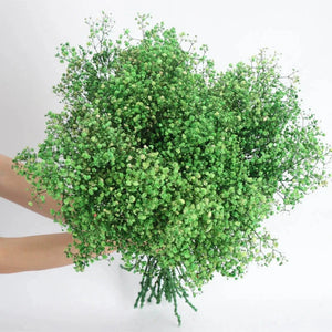 Everyday.Discount buy gypsophila artificial flower décor inspiration autumn viral interior decorations plum pinterest gypsophila blossom onlineshopping tiktok instagram youtube videos wreath realistic interior bunch vase gypsophila explore bridal photoshoot accents blossoms everyday fast free.shipping silk xmas symbolism garland flowers indoors areas  
