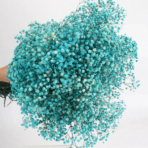 Everyday.Discount buy gypsophila artificial flower décor inspiration autumn viral interior decorations plum pinterest gypsophila blossom onlineshopping tiktok instagram youtube videos wreath realistic interior bunch vase gypsophila explore bridal photoshoot accents blossoms everyday fast free.shipping silk xmas symbolism garland flowers indoors areas  