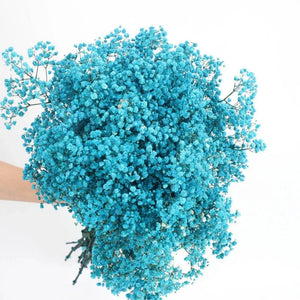 Everyday.Discount buy gypsophila artificial flower décor inspiration autumn viral interior decorations plum pinterest gypsophila blossom onlineshopping tiktok instagram youtube videos wreath realistic interior bunch vase gypsophila explore bridal photoshoot accents blossoms everyday fast free.shipping silk xmas symbolism garland flowers indoors areas  