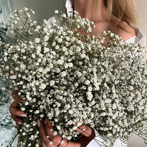 Everyday.Discount buy gypsophila artificial flower décor inspiration autumn viral interior decorations plum pinterest gypsophila blossom onlineshopping tiktok instagram youtube videos wreath realistic interior bunch vase gypsophila explore bridal photoshoot accents blossoms everyday fast free.shipping silk xmas symbolism garland flowers indoors areas  