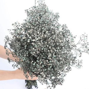 Everyday.Discount buy gypsophila artificial flower décor inspiration autumn viral interior decorations plum pinterest gypsophila blossom onlineshopping tiktok instagram youtube videos wreath realistic interior bunch vase gypsophila explore bridal photoshoot accents blossoms everyday fast free.shipping silk xmas symbolism garland flowers indoors areas  