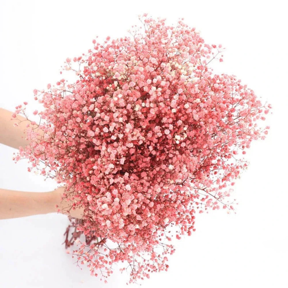 Everyday.Discount buy gypsophila artificial flower décor inspiration autumn viral interior decorations plum pinterest gypsophila blossom onlineshopping tiktok instagram youtube videos wreath realistic interior bunch vase gypsophila explore bridal photoshoot accents blossoms everyday fast free.shipping silk xmas symbolism garland flowers indoors areas  
