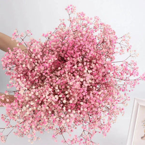 Everyday.Discount buy gypsophila artificial flower décor inspiration autumn viral interior decorations plum pinterest gypsophila blossom onlineshopping tiktok instagram youtube videos wreath realistic interior bunch vase gypsophila explore bridal photoshoot accents blossoms everyday fast free.shipping silk xmas symbolism garland flowers indoors areas  