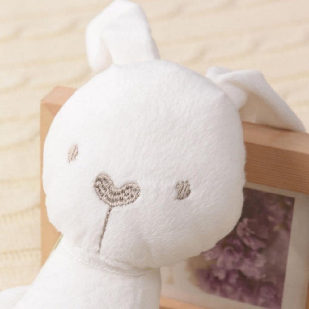 Everyday.Discount buy plush rabbit cute viral bunnie softfeeling plush doll kids childrens hug toys stuffed plush dolls kidstoys rabbit children animals babytoys animal characters cotton toddlers animes doll teddybear grandma bears fluffy custom unicorn kawaii hugs figurine babyboy infants newborn plush toyshop youtube instagram pinterest vs youtube 