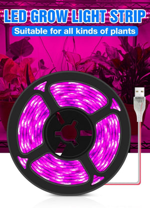 Everyday.Discount ledstrip ledlight for plants hydroponics plantgrow indoors phyto lamps sunlight grow lights promote the rapid growth from plants accelerate the reproduction from fruits and seeds increase the weight stems leaves eco friendly lowest heating durable environmental protection prevent overgrowth increase freshness and beautyness promote growth improve accelerate ripening by sunlight and markets early growth and bloom hydroponics greenhouse gardening cultivation potted plants and other indoors 