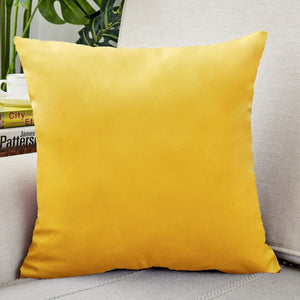 Everyday.Discount buy pillowcases instagram funda style nordic pillowcase facebookvs velour pillowcovers for pillow pinterest interior decoration pillowcovers refresh interior decoration summer tiktok youtube videos pillowcase plain dyed housekeepings removable reuseable stylish color available washable shields furniture seatcover everyday free.shipping