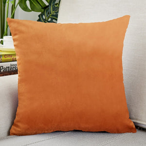 Everyday.Discount buy pillowcases instagram funda style nordic pillowcase facebookvs velour pillowcovers for pillow pinterest interior decoration pillowcovers refresh interior decoration summer tiktok youtube videos pillowcase plain dyed housekeepings removable reuseable stylish color available washable shields furniture seatcover everyday free.shipping