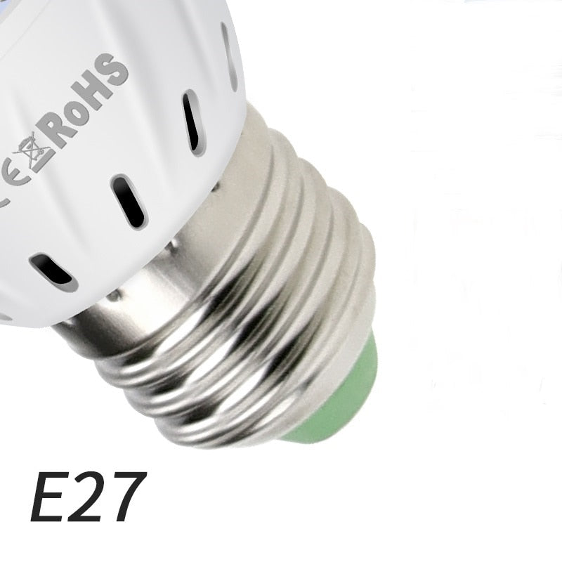 Everyday.Discount ledlight for plants hydroponics plantgrow indoors phyto lamps promote the rapid growth from plants accelerate the reproduction from fruits and seeds increase the weight stems leaves eco friendly lowest heating durable environmental protection prevent overgrowth increase freshness and beautyness promote growth improve accelerate ripening by sunlight and markets early growth and bloom hydroponics greenhouse gardening cultivation potted plants and other indoors 