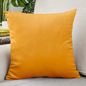 Everyday.Discount buy pillowcases instagram funda style nordic pillowcase facebookvs velour pillowcovers for pillow pinterest interior decoration pillowcovers refresh interior decoration summer tiktok youtube videos pillowcase plain dyed housekeepings removable reuseable stylish color available washable shields furniture seatcover everyday free.shipping