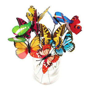 Everyday.Discount buy butterflies tiktok youtube videos butterflies favebookvs butterflies colorful bunch butterflies with holder for flowerpot pinterest butterflies can be used indoors outdoors instagram summer outdoors flowerpot interior deco stake reddit flower potted plants style flower decoracion balcony interior potted plants funda inside quality apartments balconies hanging planterpots from railing ceiling plants interior hanging planterpot holder  everyday free.shipping