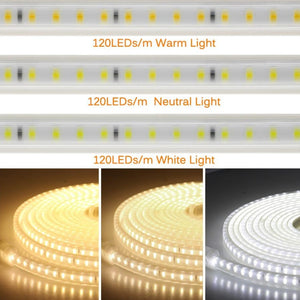 Everyday.Discount white brightness lighting warmwhite not dazzling coolwhite flexible ledstrip with normal powering vs connection and switching flexible ledlight mood changing lighting lamps for backlit homekit diy decorative lights for kitchen wall ceiling windows cabinets boat ledlights backup lights christmas interior u.s.a. europe style exhibition wardrobe gardens homebase hallway lightsby lights decorative bright lights halloween xmas lighting