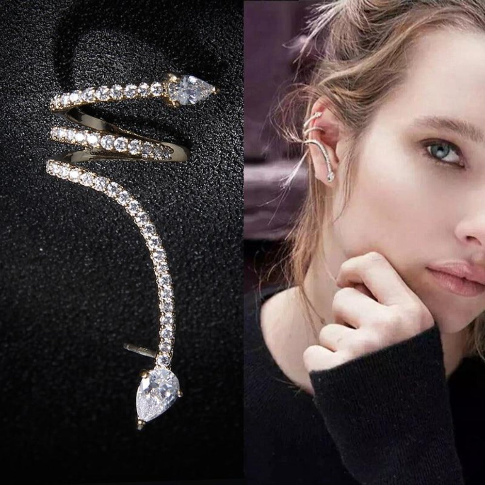 EveryDay.Discount earrings snake cubic zirconia ear rings fashionable jewelry for women
